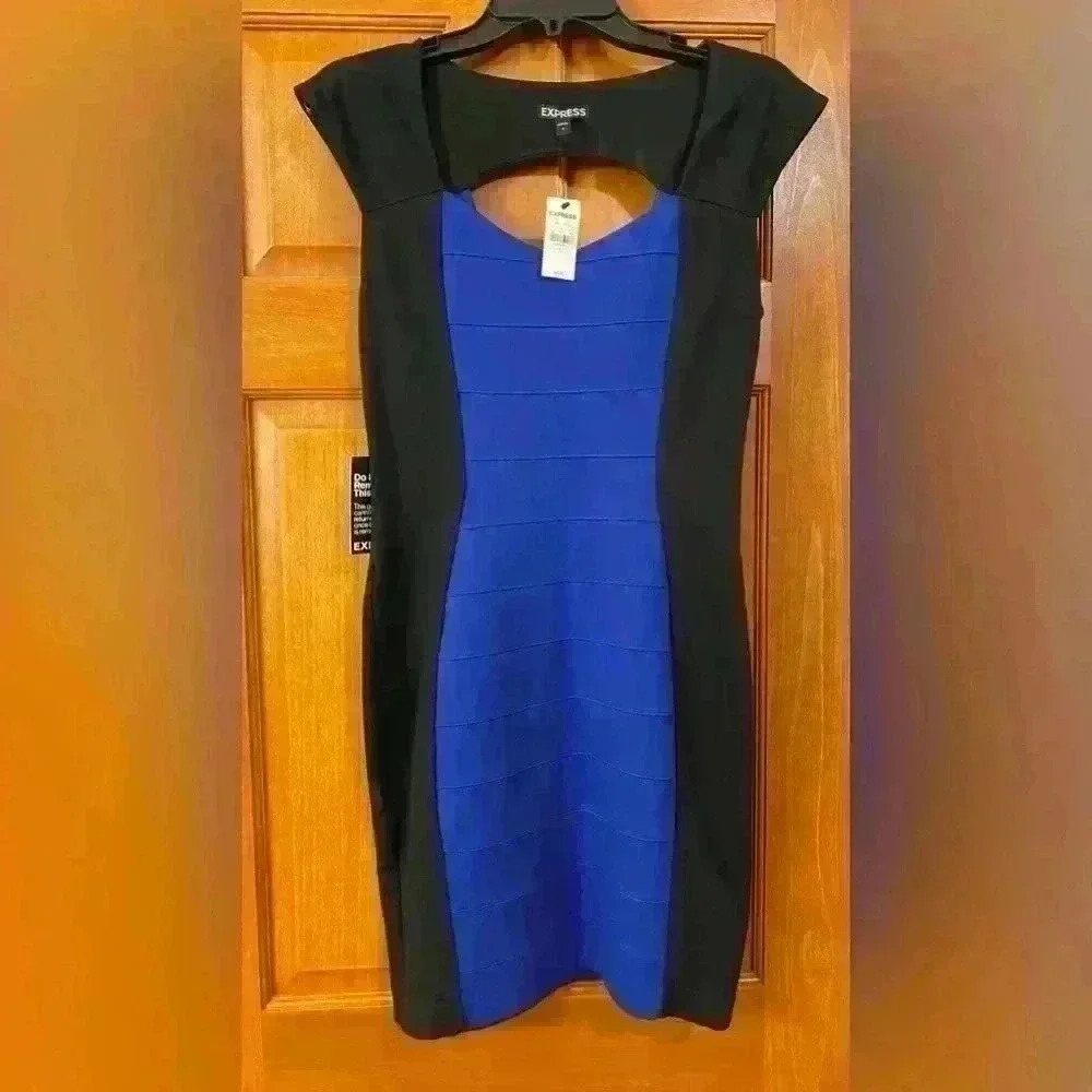 Express Black and Blue Dress